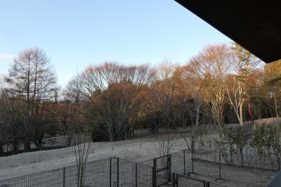 愛犬と一緒の信州冬旅♪　Vol.113　ザ・ひらまつ・軽井沢御代田：朝のドッグヴィラスイート♪