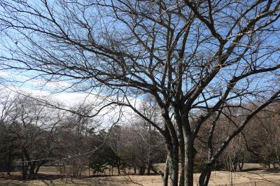 愛犬と一緒の信州冬旅♪　Vol.115　ザ・ひらまつ・軽井沢御代田：ドッグヴィラスイートさようなら♪