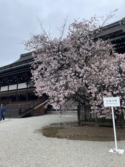 2023春の京都は雨