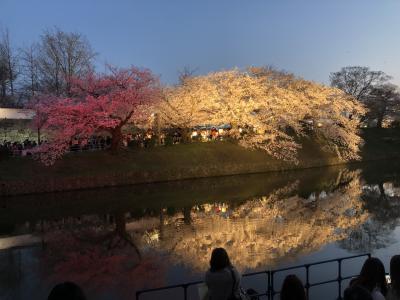 博多で夜桜　2023年3月