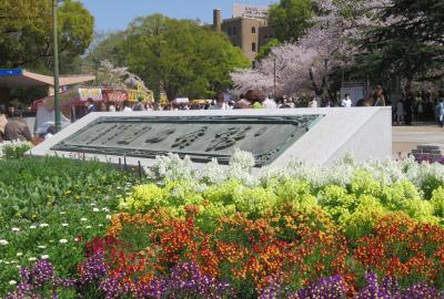 2023春、名古屋の桜1(1/5)：鶴舞公園1：散り始め、噴水塔、名古屋市公会堂、奏楽堂