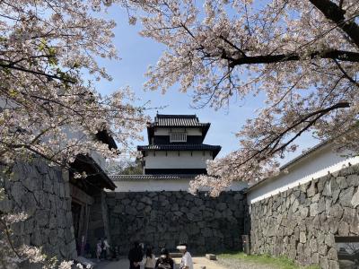 福岡城 さくらまつりを気ままにぶらり