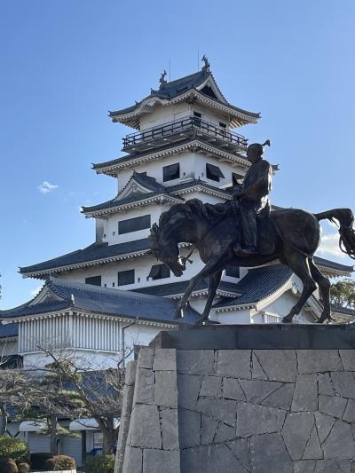  徳島・高知・愛媛の旅。お城めぐりは徳島城・高知城・今治城。たまたま見れた「仁淀ブルー」にも感激。