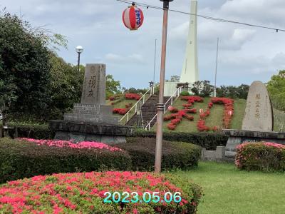 串良平和公園に桜を見に行ってみた