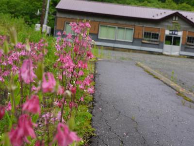 家族で北海道･･･改め、妹と初夏の根室・留萌へ【4:２日目終盤～３日目　根室本線から留萌本線へ】