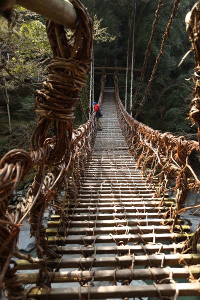 JALで香川・徳島　かずら橋・大歩危