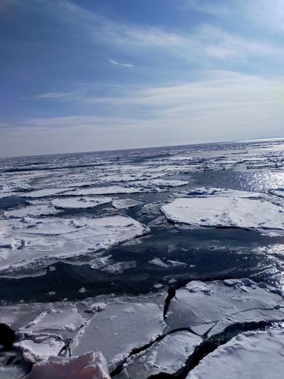 流氷めぐり