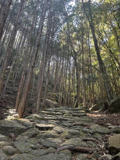 2023名古屋伊勢熊野の旅⑤～熊野伊勢路＠南紀勝浦温泉　越之湯