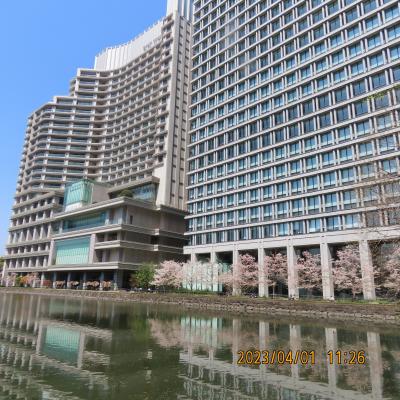 久し振りに皇居・東御苑を訪問①東京駅～大手門～二の丸庭園まで