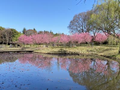 古河桃まつりと七福神めぐり