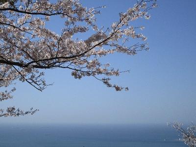 春爛漫の紀の国へ ～ 和歌山市1泊2日　（その2）