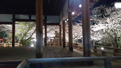 京都ばかりではない桜と古典の名所が花盛り～三井寺編～