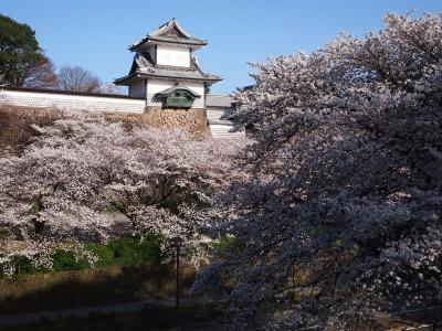 桜を追い求め一路金沢へ　｢２日目　好天に恵まれた金沢散策(^_^)v｣