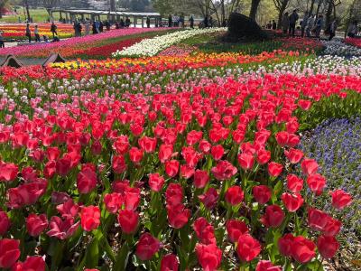 木曽三川公園と一夜城