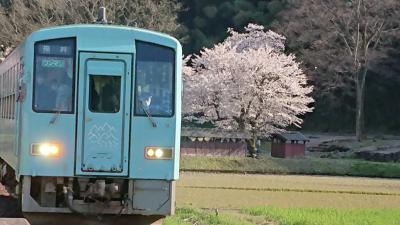 日本100名城の旅（一乗谷城編）