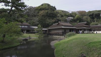 横浜三渓園の隠れた魅力を探る　