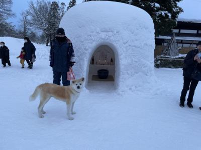 横手の「かまくら祭り」行って来た!