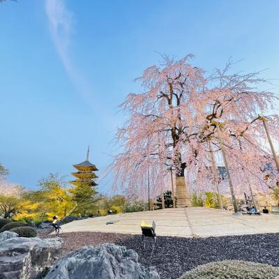 京都の春堪能の旅