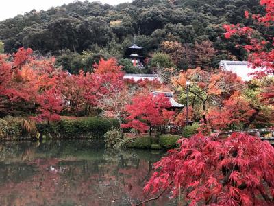 2022秋の京都　永観堂、南禅寺の紅葉
