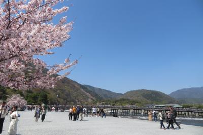 春爛漫・桜だらけ　　　往復夜行バス、中２日で吉野と京都弾丸旅　２日目