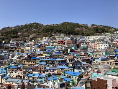 桜満開!! 韓国3泊4日 女一人旅2【釜山・甘川文化村編】