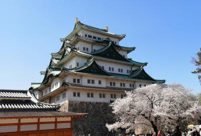 ７年ぶりの地元【名古屋城と桜の花見】春まつりに出かけてみました