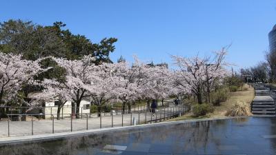 桜三昧！ノドグロ三昧！桜前線追いかけて北上！人生初のプチひとり歩き♪♪