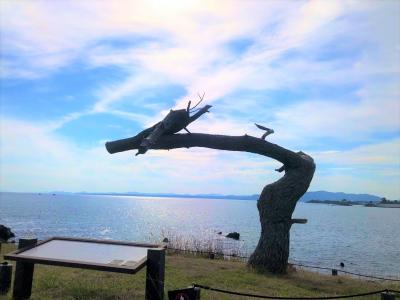 東日本大震災を辿る旅【気仙沼・陸前高田】④（岩井崎/陸前高田）