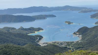 初めてピーチ航空で行く奄美大島２日目