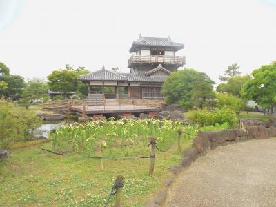 ① ジェットスターで行く大阪・滋賀・京都 [大阪府池田市] 呉服神社、池田城跡、五月山動物園