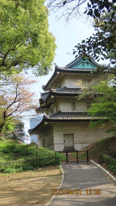 久し振りに皇居・東御苑を訪問⑤富士見多聞～野草の島～中ノ門跡～大手門