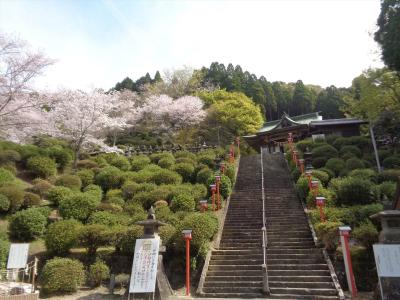 大津山の桜