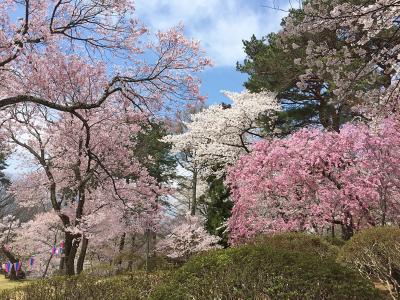 花の伊那　春日公園