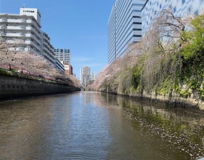 老夫婦のヨタヨタ目黒川　桜ボート乗船記