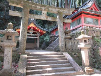 早春の石清水八幡宮(3)