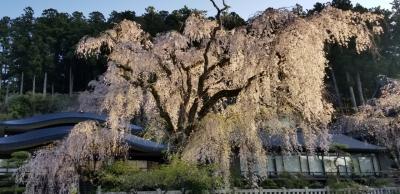 『身延山・いさご屋旅館に泊まってきました & 山梨の秘湯 満喫の旅(身延山・西山温泉・奈良田温泉)』身延(山梨県)の旅行記・ブログ by  タブラオさん【フォートラベル】