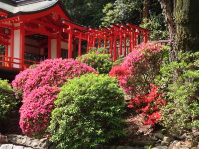 文豪・森鴎外の旧邸宅を根津神社に移築しよう