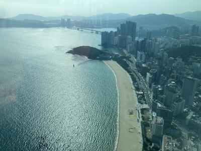 桜満開!! 韓国3泊4日 女一人旅3【釜山・海雲台編】