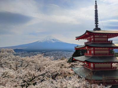 目指せ全県制覇★山梨・静岡の旅～山梨で生まれて初めて富士山を見た～