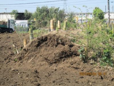 lrg_11819911.jpg?updated_at=