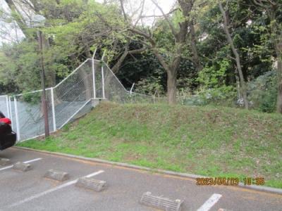 柏市の大山台・高田台牧野馬土手保存区域・モラージュ柏ＳＣ