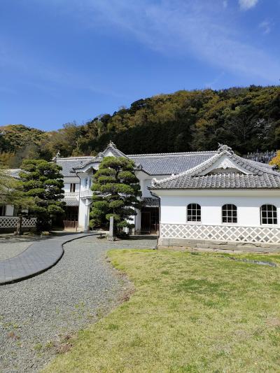 富士と桜を道ずれに快晴の西海岸をトレッキング 2日目　燈明が碕トレッキングと松崎町