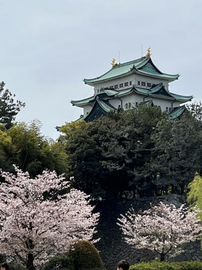 尾張名古屋は城で持つー1泊2日 どうする家康