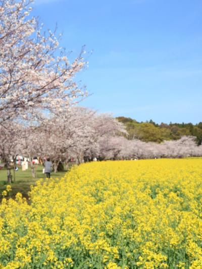 春のみやざき旅 2-2