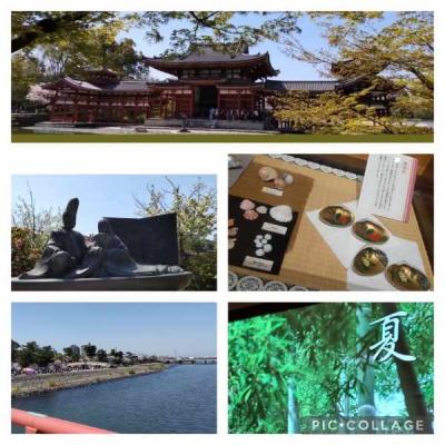 源氏物語宇治十帖の世界+平等院鳳凰堂~