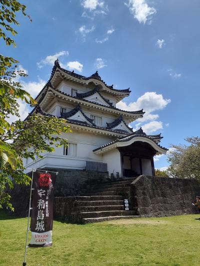 宇和島城と遊子水荷浦の段畑