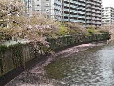 東京散歩　目黒・本郷