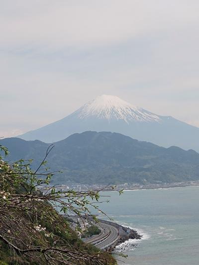 ㉕東海道五十三次　京から江戸へ（府中宿→江尻宿→興津宿)