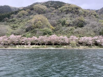 滋賀どうでしょ！　桜散る、梅津大崎編