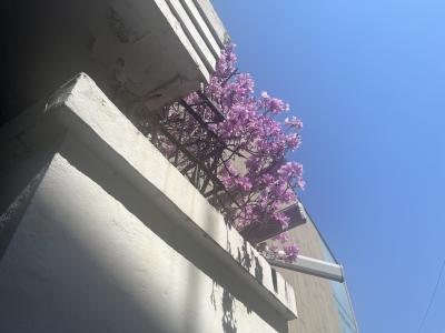 センイル渡韓!ソウル一人旅3泊4日前編